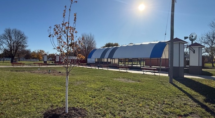 "Plant the Future" Tree Sponsorship Initiative