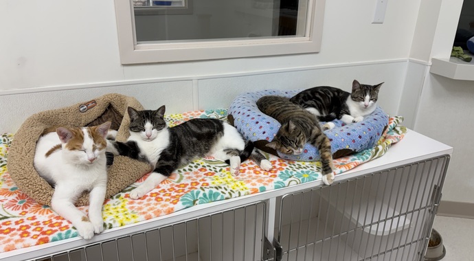 Year End Celebration