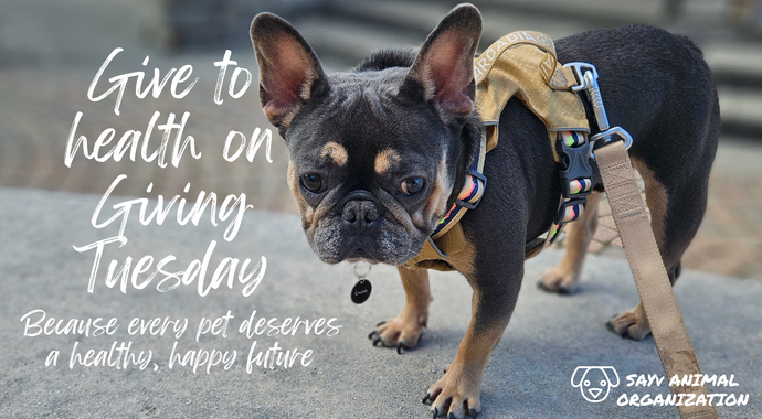 Giving Tuesday 2025