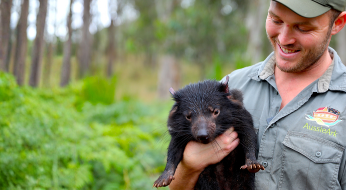 226 Business Sponsors in 2026