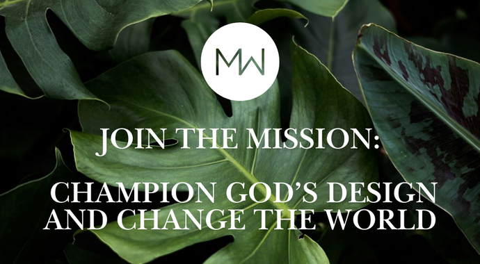 Join the Mission: Champion God’s Design and Change the World