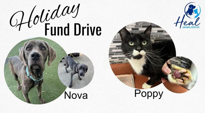 End of Year Fund Drive 2025