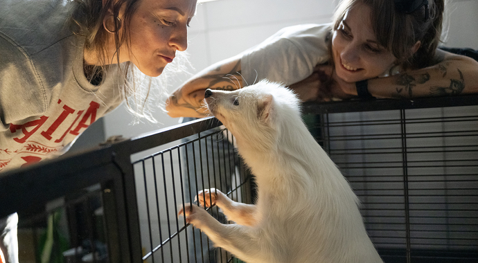 Help tell their stories in 2026