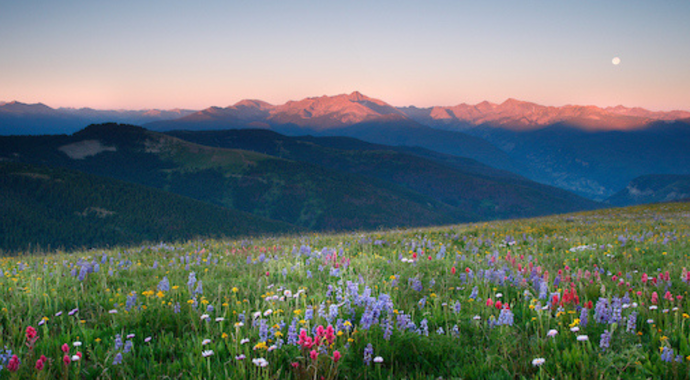 Alpine Meadow Sponsorship