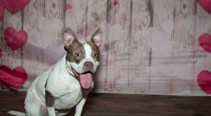 Turn love into life-SAYving care