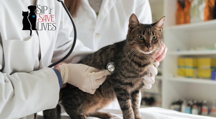 Sip & Save Lives