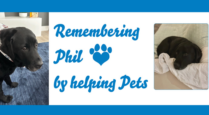 Phil Fundraiser for Paws for a Cause