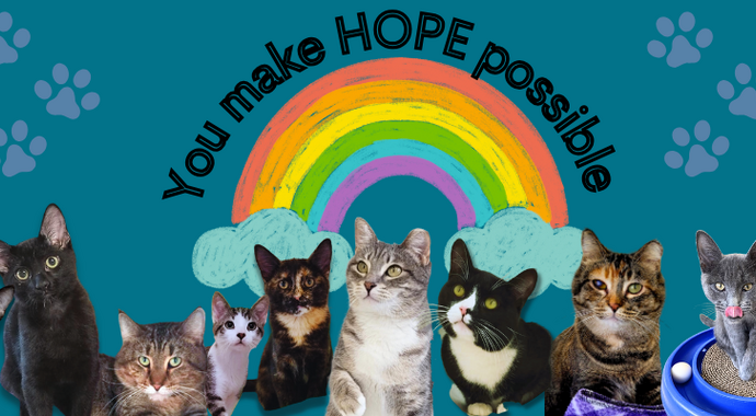 Business Sponsorships