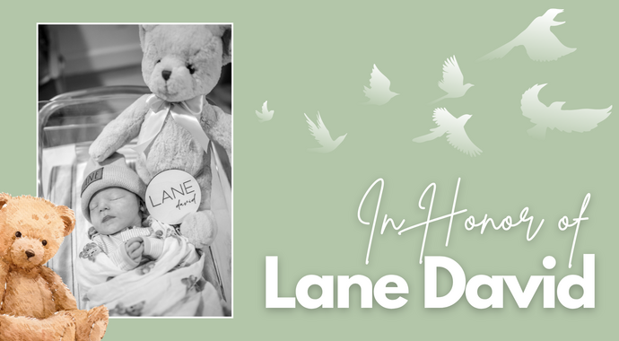 In Honor of Lane David Reichard