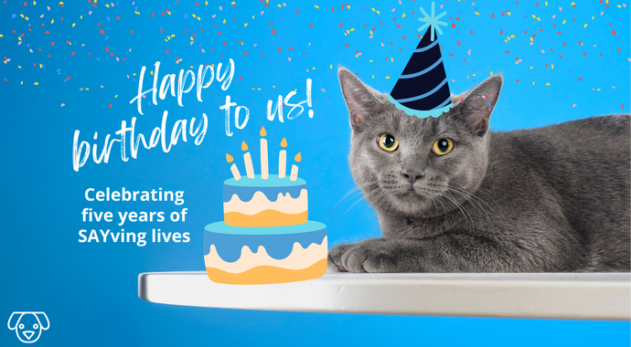 Celebrate SAYv's 5th birthday!