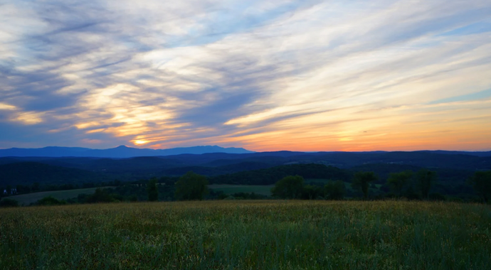 Support the 2026 Harvest Sunset Celebration