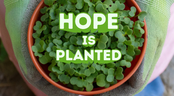 Harvest of Hope: 30 Day Campaign