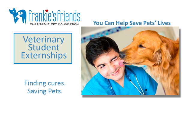 Veterinary Student Externships