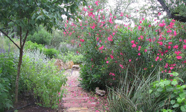 Grounds/Gardens