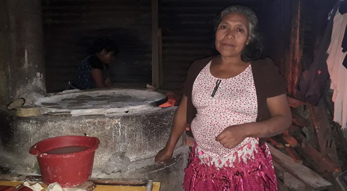 The Guatemala Fund