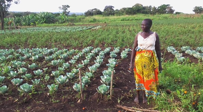 The South Sudan Fund