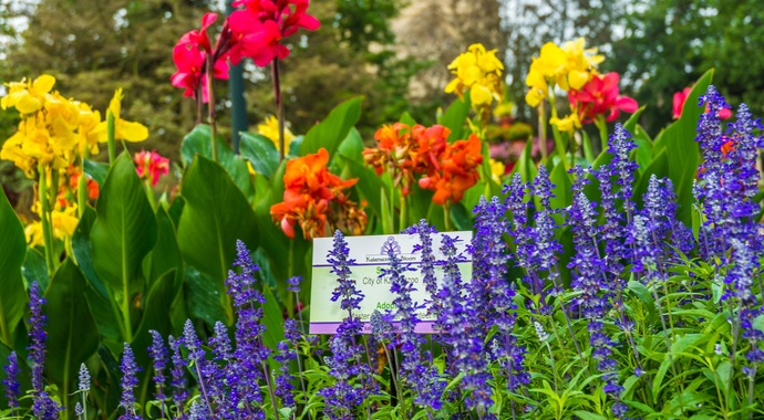 Kalamazoo in Bloom, Inc.