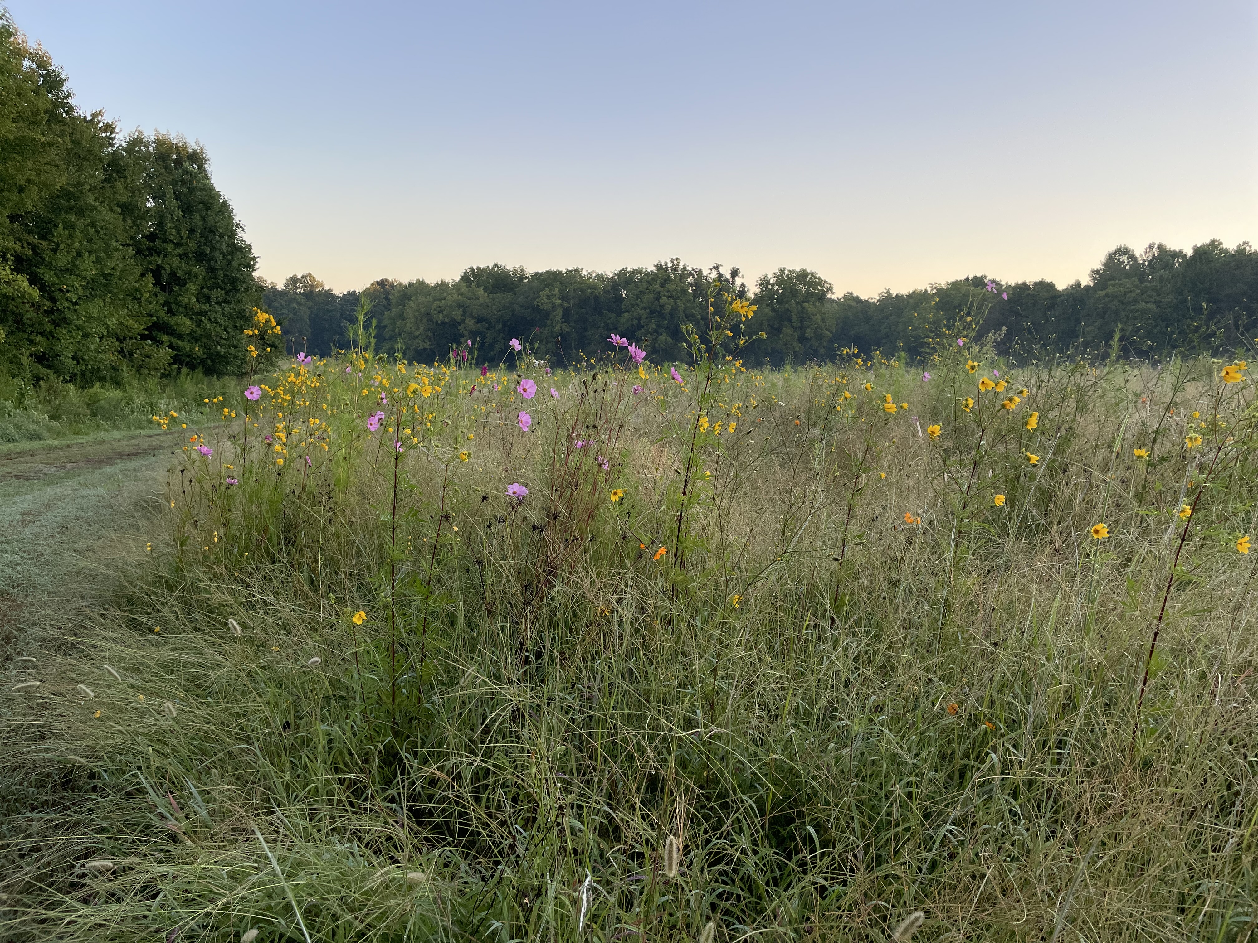 Bluestem Community Fund