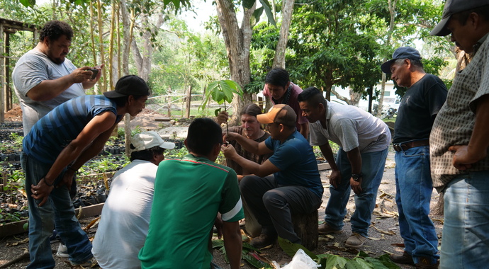 Heirloom Cacao Preservation Fund