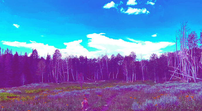 The Mama Wilder Foundation