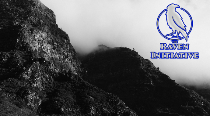 The Raven Initiative