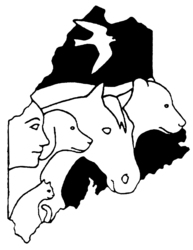Organization Logo