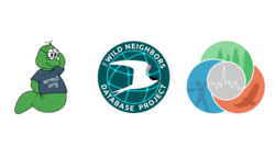 Organization Logo