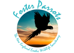 Organization Logo