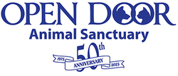 Organization Logo