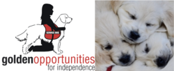 Organization Logo
