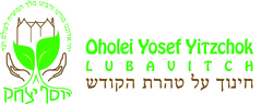Organization Logo