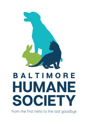 Organization Logo