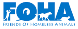 Organization Logo