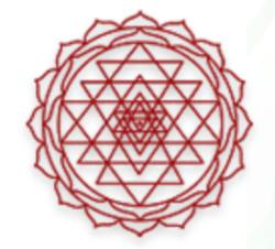 Organization Logo