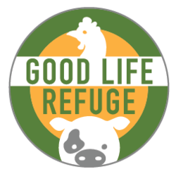 Organization Logo
