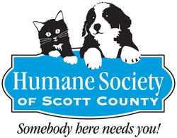 Organization Logo
