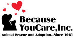 Organization Logo