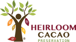 Organization Logo