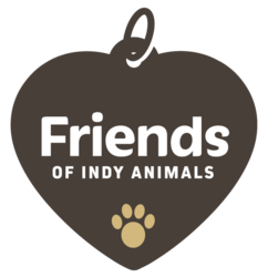 Organization Logo