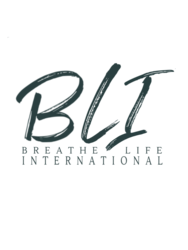 Organization Logo