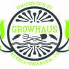 Organization Logo
