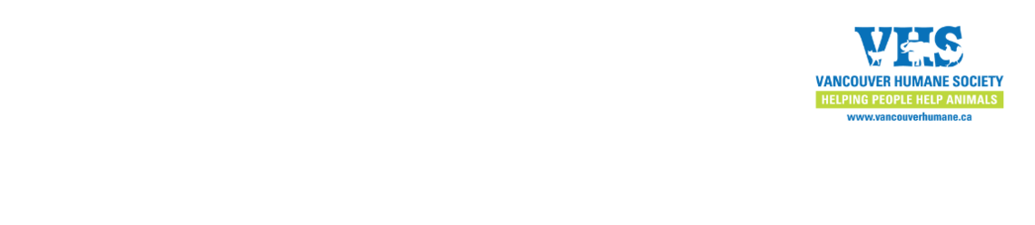 Volunteering with the Vancouver Humane Society