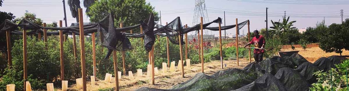 Volunteer Registration