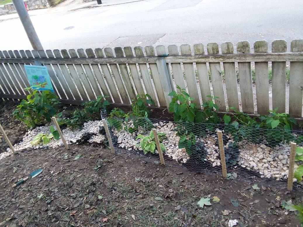 Conservation Landscape for your Yard Program Interest