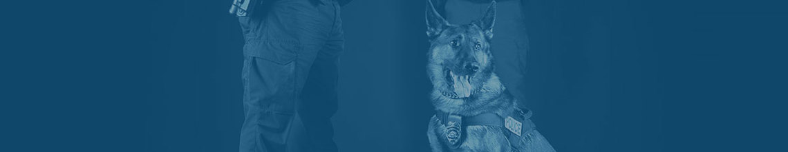 TRIBUTE OR SUPPORT REQUEST