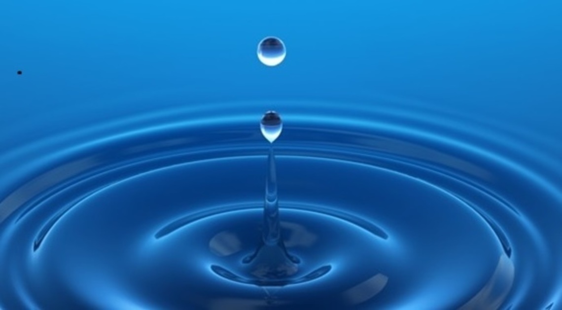 2025 Membership Form