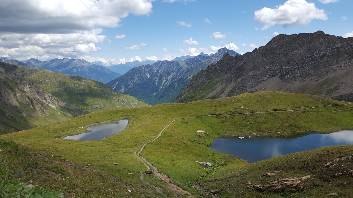 Open Enrollment Frassati Pilgrimage