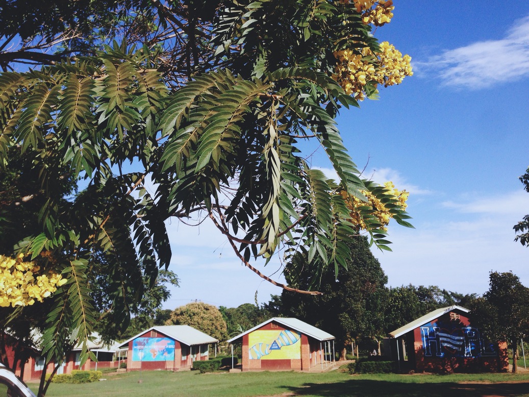 Team Lead Registration