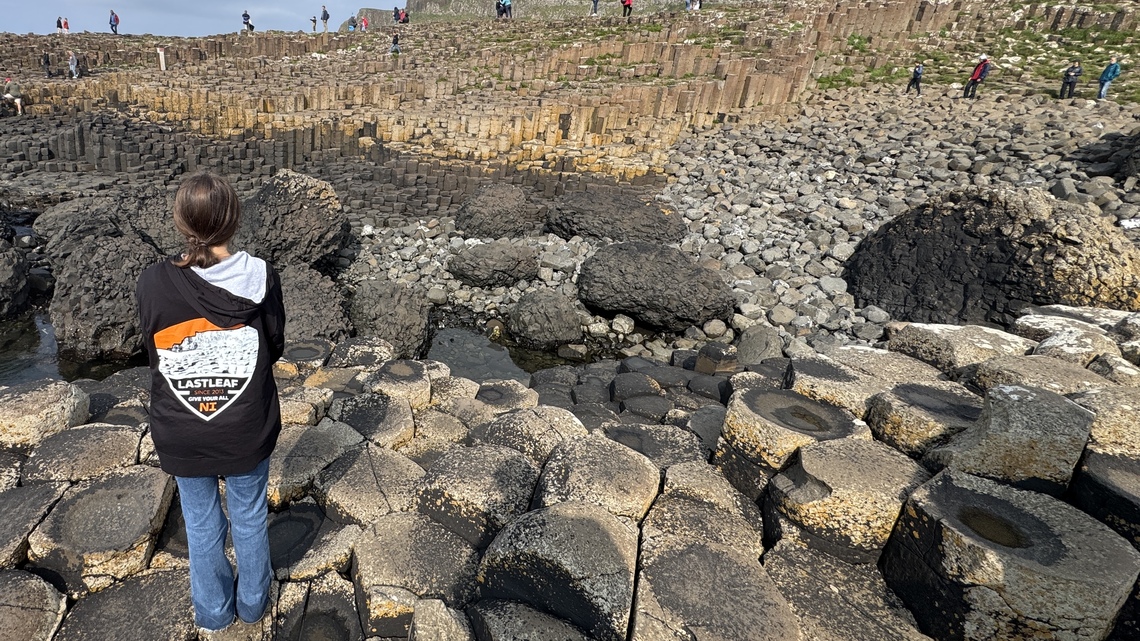 Lastleaf Internship Application Summer 2026