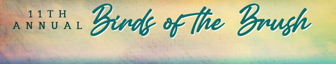 11th Annual Birds of the Brush Art Contest